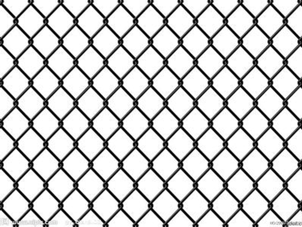 勾花編織圍網(wǎng)圖片4 勾花編織圍網(wǎng)圖片4