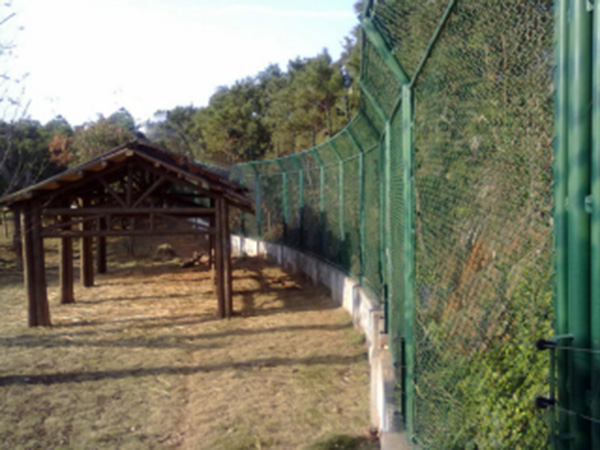 動物園防護柵欄圖片2 動物園防護柵欄圖片2