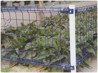 雙圈護(hù)欄網(wǎng)