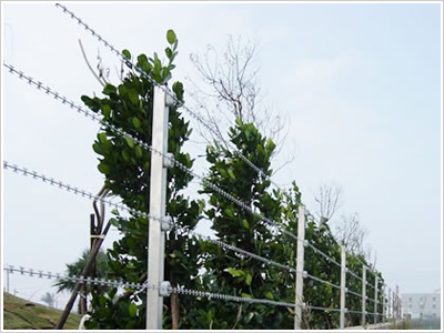 刀片/刺繩護欄網(wǎng)