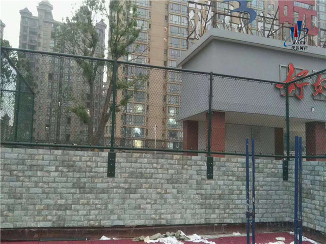 安徽皖西當(dāng)代運動場圍網(wǎng)工程圖片5