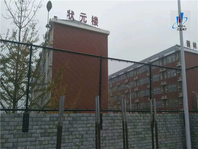 安徽皖西當(dāng)代運動場圍網(wǎng)工程圖片6