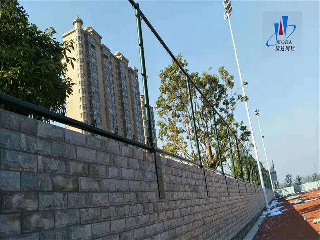 安徽皖西當(dāng)代運動場圍網(wǎng)工程圖片3