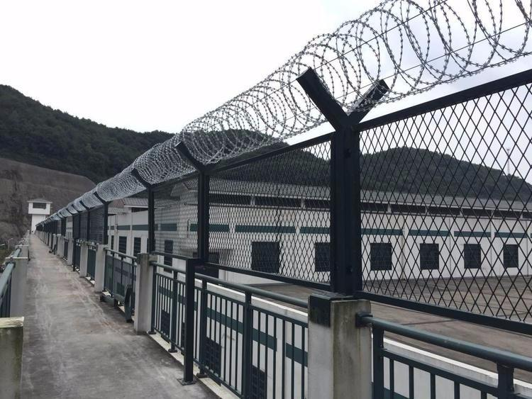 監(jiān)獄圍網(wǎng) 監(jiān)獄圍網(wǎng)