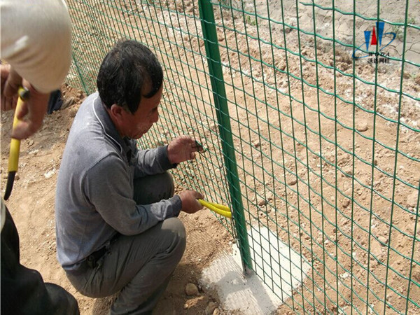 養(yǎng)殖圍欄網(wǎng) 養(yǎng)殖圍欄網(wǎng)